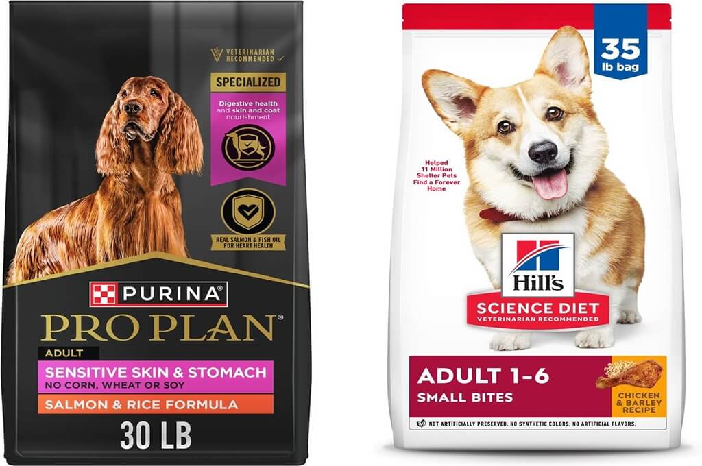 6 Best Dry Dog Food on Chewy for Travel