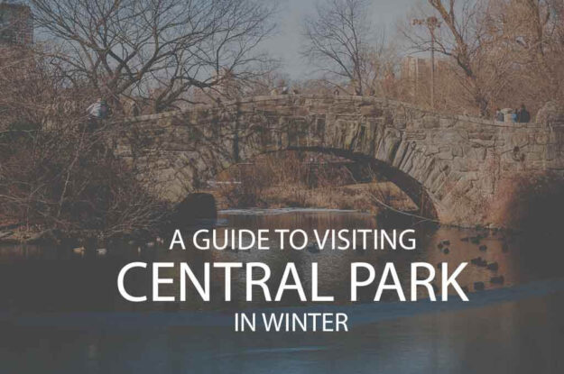 A Guide to Visiting Central Park in Winter