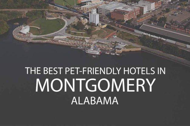 11 Best Pet Friendly Hotels in Montgomery AL