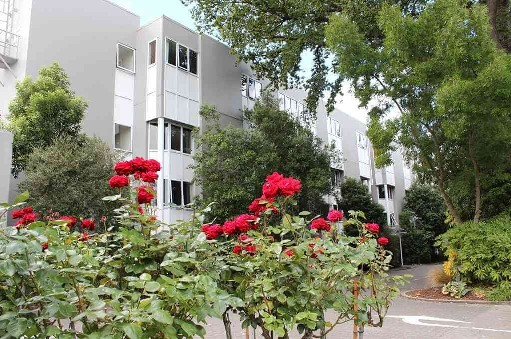 How to Find Cheap Hotels with Trivago - by Trivago