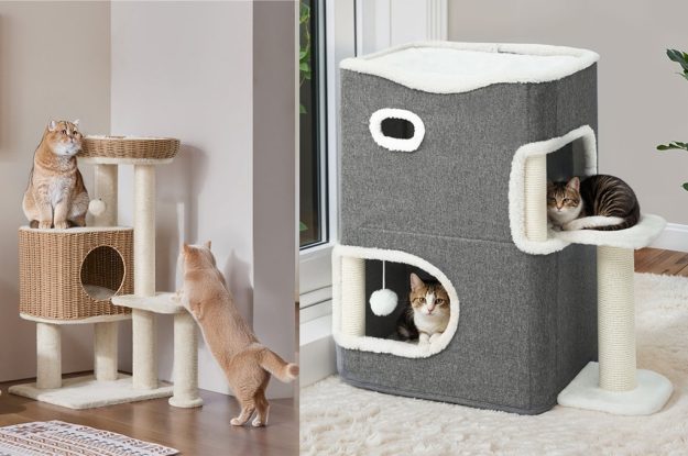 Best Wayfair UK Cat Trees And Condos For Travel