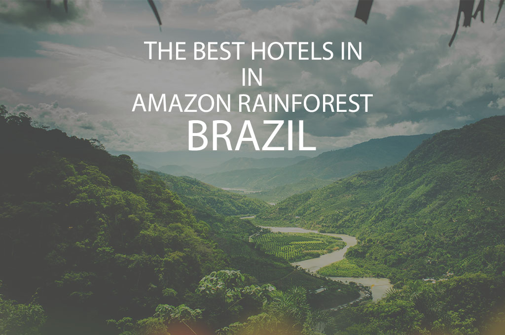 11 Best Hotels In Amazon Rainforest Brazil