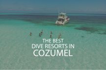 11 Best Dive Resorts In Cozumel
