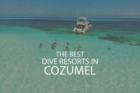 11 Best Dive Resorts In Cozumel