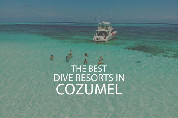 11 Best Dive Resorts In Cozumel
