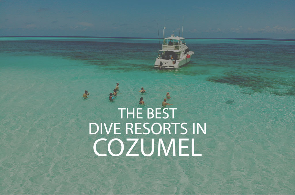 11 Best Dive Resorts In Cozumel